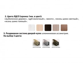 Шкаф-купе Акцент-Сим Д 1000-600 шимо тёмный в Реж - rezh.magazinmebel.ru | фото - изображение 3