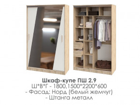 шкаф-купе ПШ-2.9 1500 Норд Белый жемчуг 1500 в Реж - rezh.magazinmebel.ru | фото